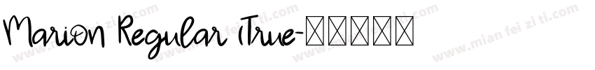 Marion Regular (True字体转换